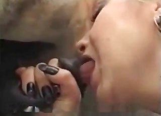 金发熟女给她最爱的野兽口交