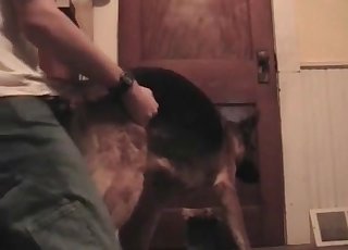 Dude eagerly screws his horny dog
