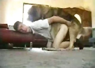 Op handen en voeten wachtend op de haan van de hond