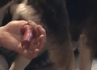 Sucking doggy dick with passion