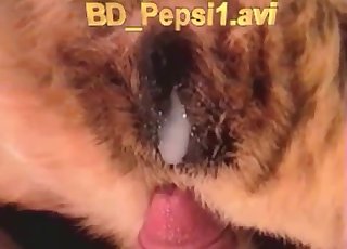 把我的小弟弟插进狗狗紧致的屁股里