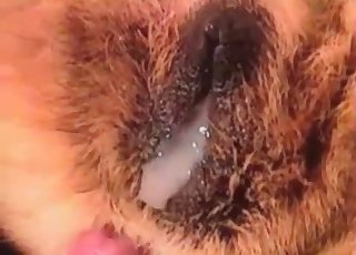 Sticking my wiener in doggy tight ass