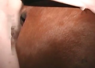 Fucking a big-ass horse in doggy style pose