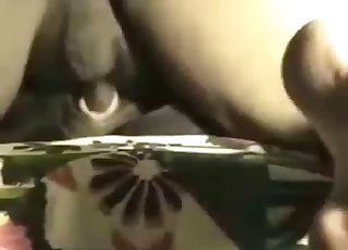 Screwing with my dog in the bedroom