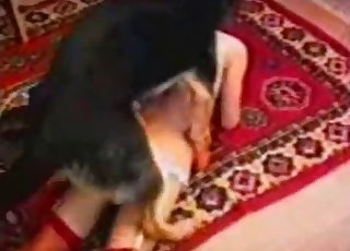 Hardcore shepherd knows how to fuck a cunt