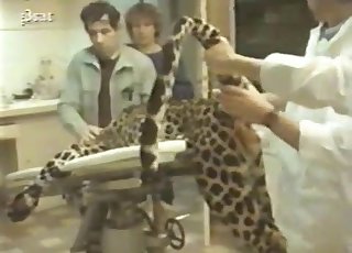 Leopard's sexy hole gets fingered