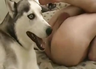 Seducing his pet with his thick dick