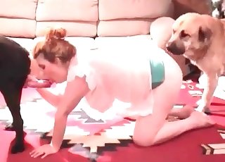 Awesome dogs are drilling her cracks