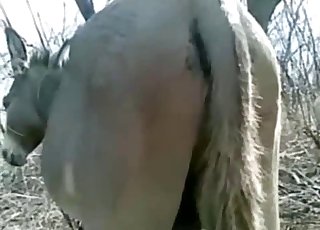 狗狗式姿勢下，動物的屁股真他媽甜美