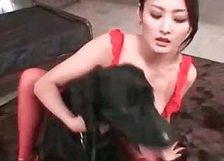 Bitchy Asian chick and black zoophile