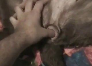 Anh chàng dùng ngón tay cái để địt cái lỗ đó