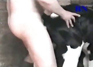 His big cock is perfect for that animal