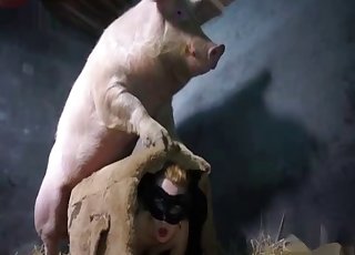 Con lợn khổng lồ quan hệ với cô nàng mảnh khảnh ở trang trại