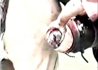 Insanely huge cock of a stallion