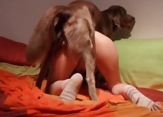 Sexy ass nicely penetrated by amazing doggy