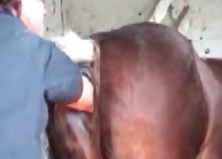 Nasty anal exploration in the farm bestiality