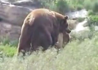 性感熊在户外和伴侣啪啪啪