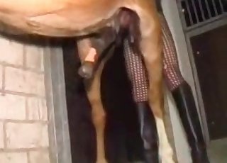 큰 종마의 딕이 너무 인상적이네요