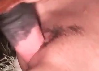 Trimmed cunt hoe gets gaped