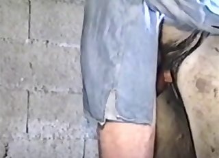 Koleś rucha tu seksowne zwierzę z farmy