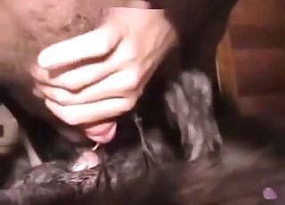 Close-up zoo sex action for you