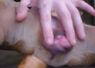 Teasing that animal's hot pussy