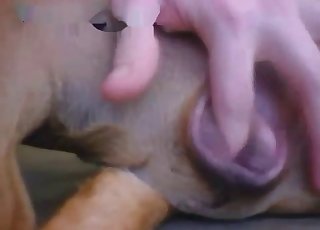 Teasing that animal's hot pussy