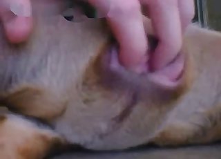 Teasing that animal's hot pussy