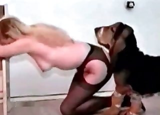 Pantyhose-sporting blonde fucks a tiny dog