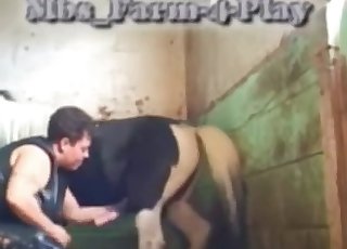 MILF jerking this pony's perfect boner