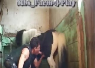 MILF इस पोनी के परफेक्ट बोनर को हिला रही है