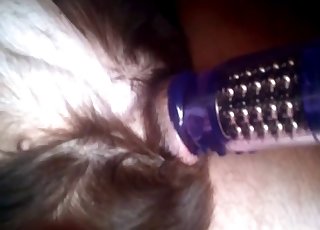 Stimulating doggy anus with a sex toy