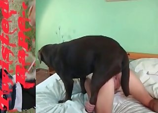 Good-looking hottie fucked by her doggy
