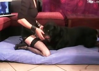 Čierny psík si užíva škaredé zoofiliu
